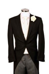 Wilvorst Slimline Ascot